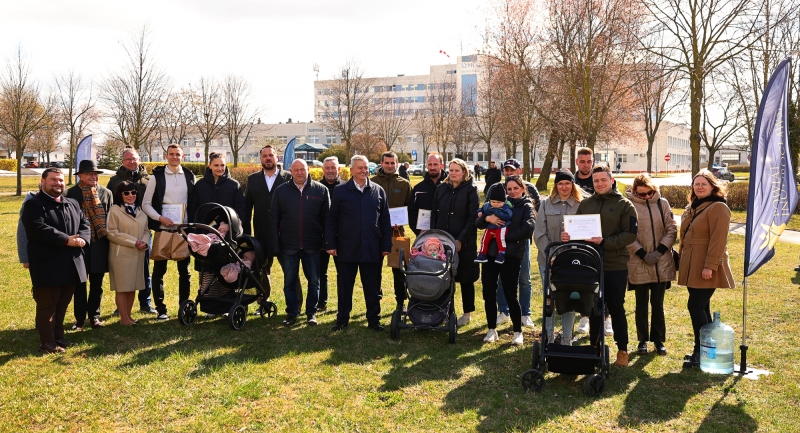 Nowe życie – nowe drzewo