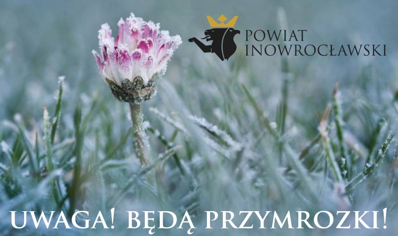 Może być ślisko!